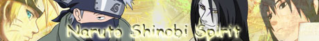 Naruto Shinobi Spirit