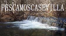foro pesca a mosca sevilla