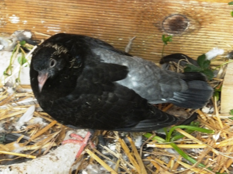 dscf8810.jpg