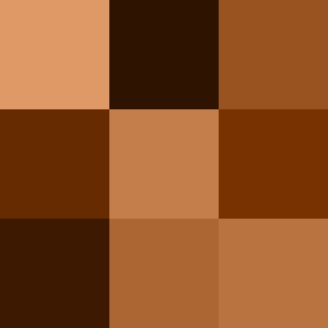 marron couleur
