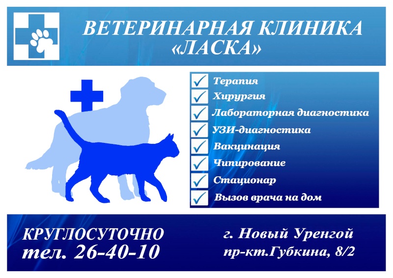 Ветеринарная Аптека В Уссурийске На Володарского