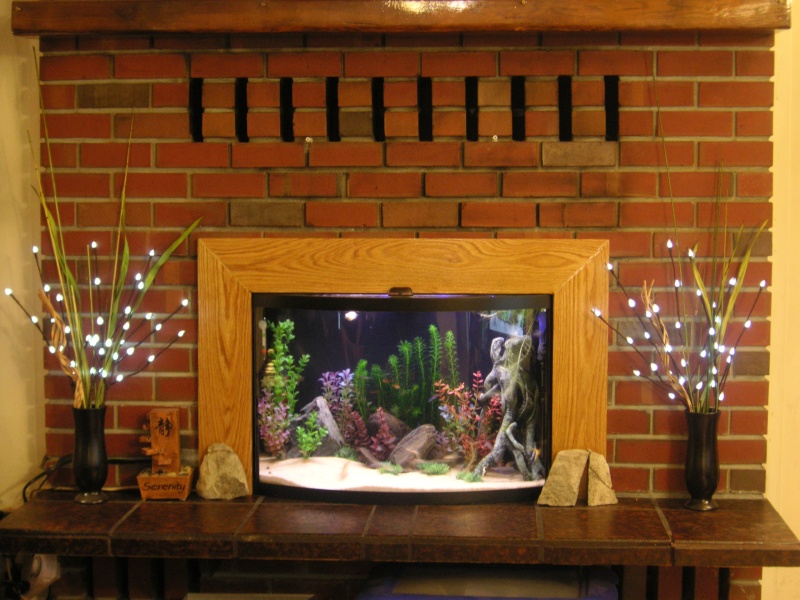 PokeSephiroth's Fireplace 36 Gallon Bow Front Tank (Finished | Page 7 |  WaFishBox