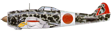 Nakajima Ki-44 Shoki 'Tojo'  cki4410