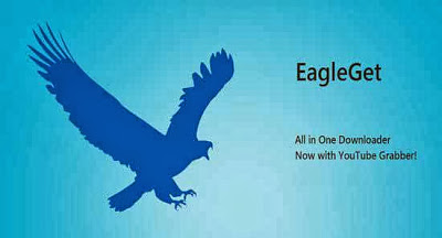         EagleGet 2013 v1.1.0.6 eagleg10.jpg