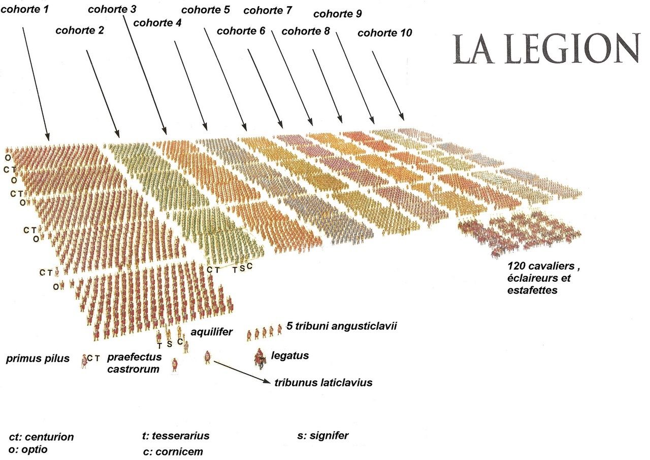 Organisation détaillée de l