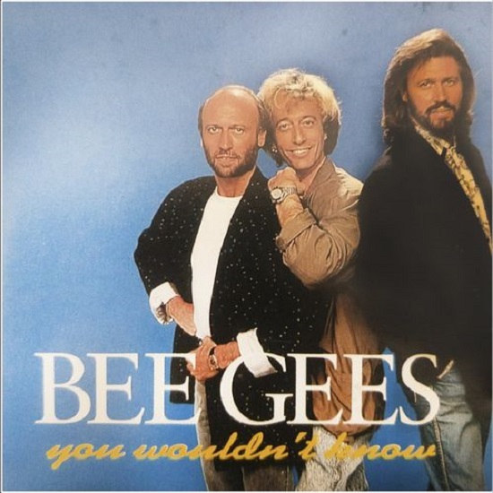 Bee Gees - Bee Gees (You Wouldn't Know) (2022)