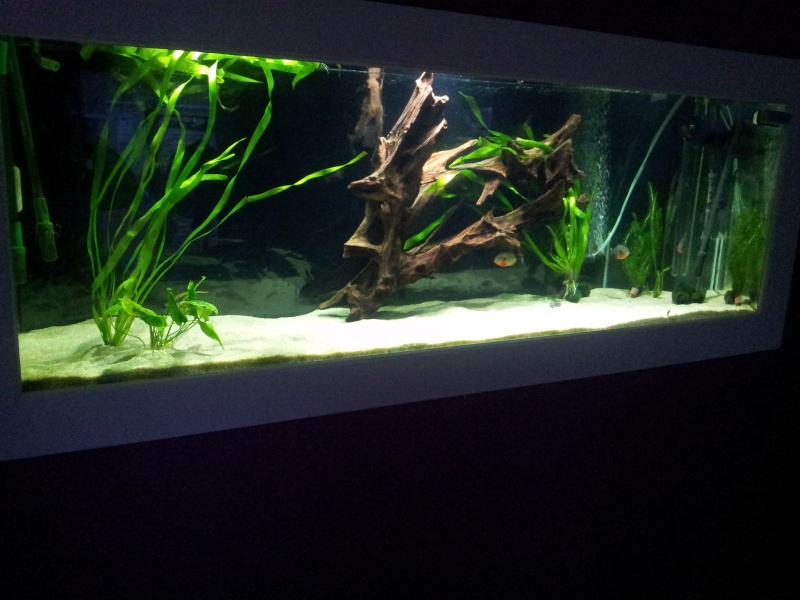 2013-014.jpg