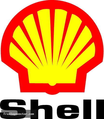 shell_10.jpg