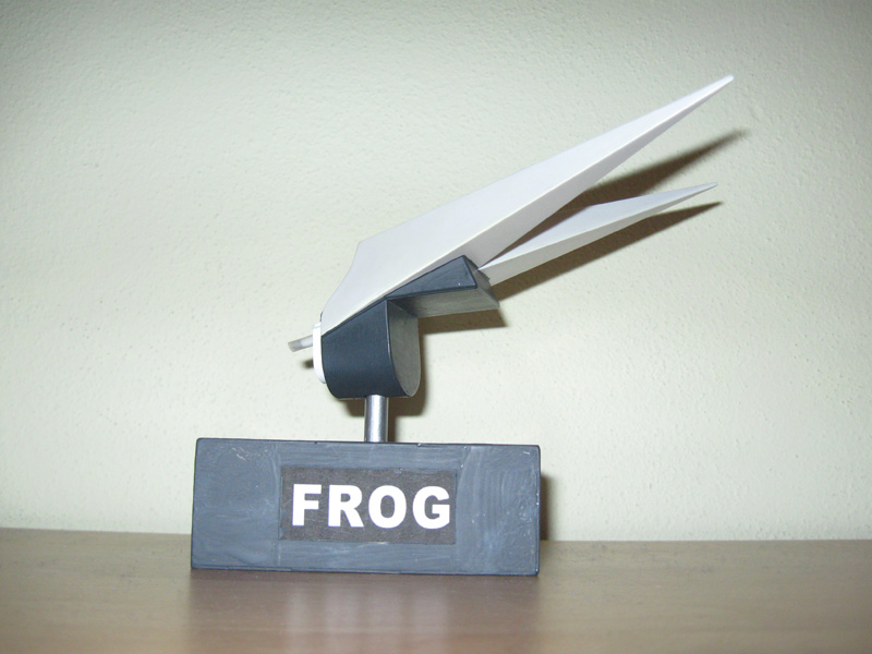 frog-m12.jpg
