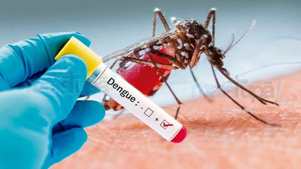 dengue10.jpg